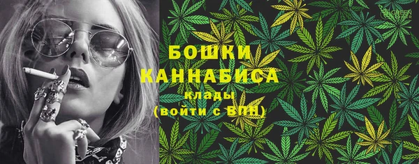 ГАЛЛЮЦИНОГЕННЫЕ ГРИБЫ Ступино