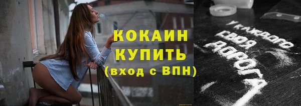 мдпв Заводоуковск