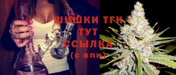 мдпв Заводоуковск