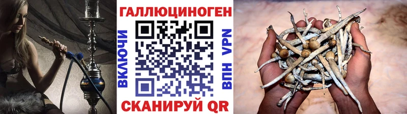 даркнет сайт  Спасск-Дальний  KRAKEN сайт  Галлюциногенные грибы GOLDEN TEACHER 