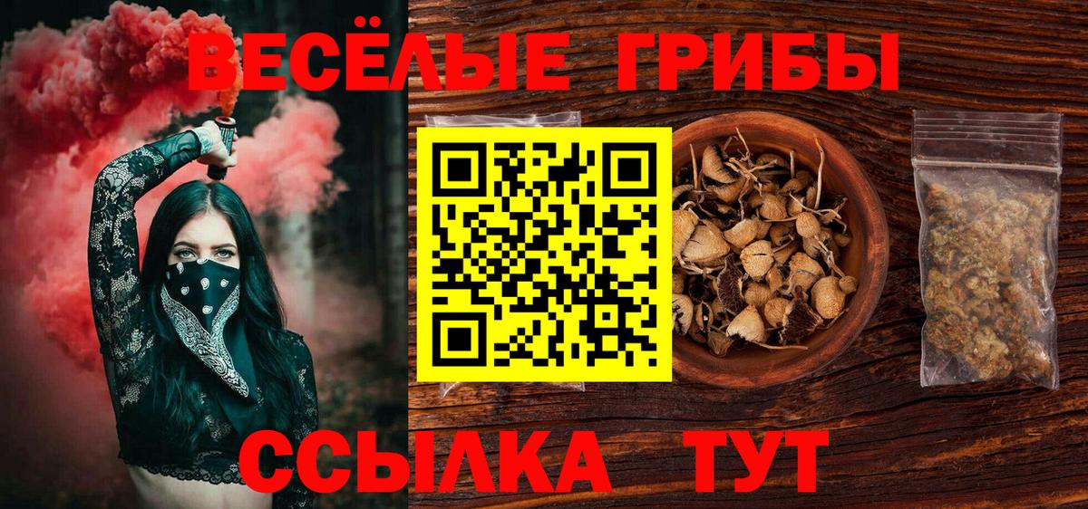 Галлюциногенные грибы прущие грибы  Вход с VPN  Спасск-Дальний 